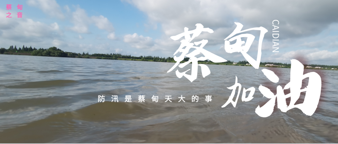 蔡甸區(qū)啟動(dòng)防汛ⅰ級(jí)應(yīng)急響應(yīng)，做好鋪土釘防汛木樁工作