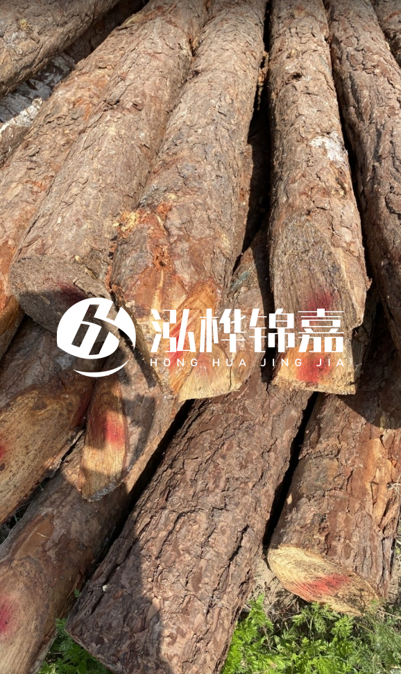 <strong>松木樁和杉木樁的用途區(qū)別？哪個更適合打樁用？</strong>