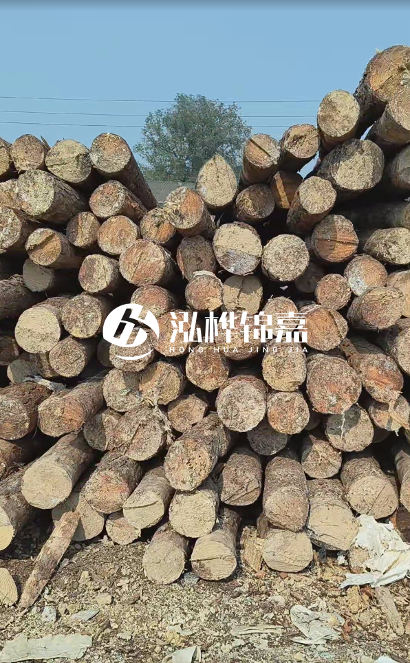 打松木樁多少錢一米 - 4 米松木樁打樁大概多少錢一根？