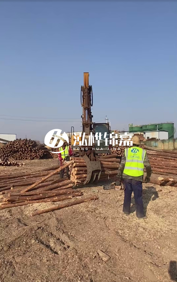 2025松木樁價(jià)格行情網(wǎng) | 實(shí)時(shí)報(bào)價(jià)/廠家直供/工程采購(gòu)指南（附價(jià)格走勢(shì)圖）