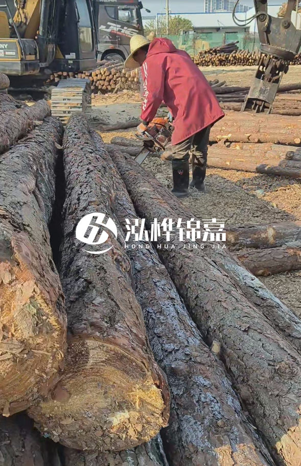 長沙打樁木批發(fā)廠家在哪里？聯(lián)系方式是什么？
