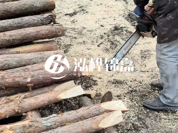 杉木樁批發(fā)廠家哪家好？產(chǎn)地直供渠道推薦！