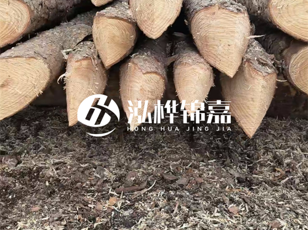 打樁木樁與鋼樁相比有哪些優(yōu)缺點(diǎn)？如何進(jìn)行后期維護(hù)？