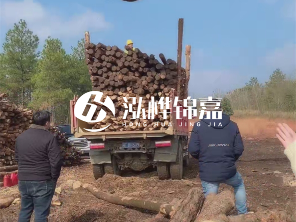 松木樁價(jià)格是按米算還是按根算？6米松木樁批發(fā)價(jià)每根多少錢？