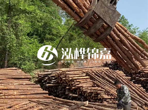 哪里能買到優(yōu)質(zhì) 3 米松木樁？長沙有松木樁批發(fā)工廠嗎？