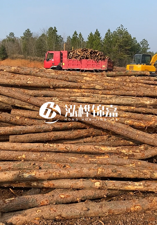 8米小頭11-13CM的松木樁價格是多少？打樁施工怎么算？