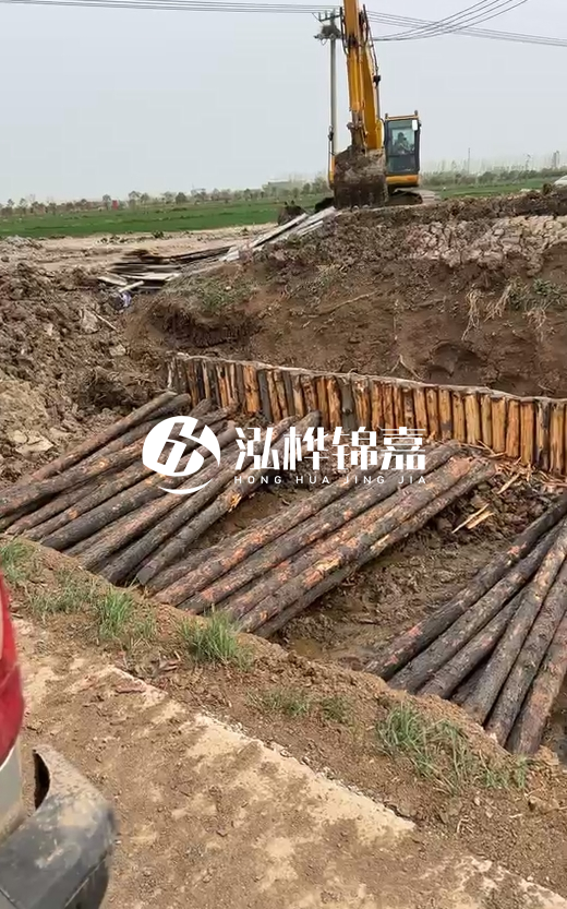 4米直徑12-13油松批發(fā)價最低多少？報價含稅含運嗎？