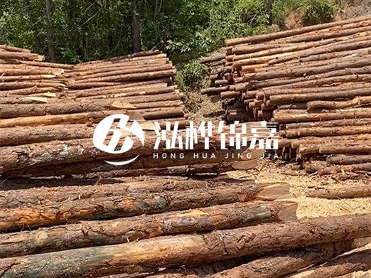 松木樁的運(yùn)輸費(fèi)用是否包含卸車費(fèi)？卸貨時需要注意哪些安全問題？