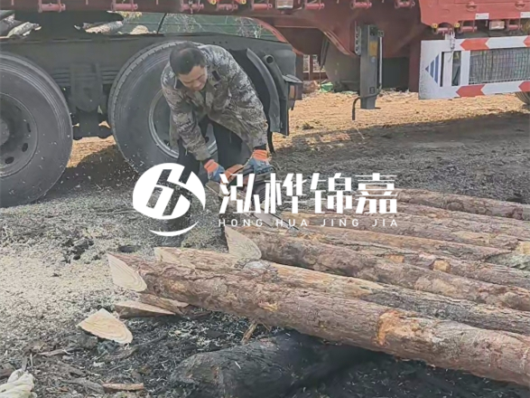 松木圓木價格大概多少一方-松木樁廠家按方可以賣嗎？