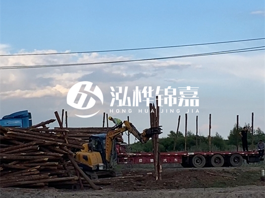 河北打樁木源頭廠家泓樺錦嘉 - 北方常用打樁木是什么？