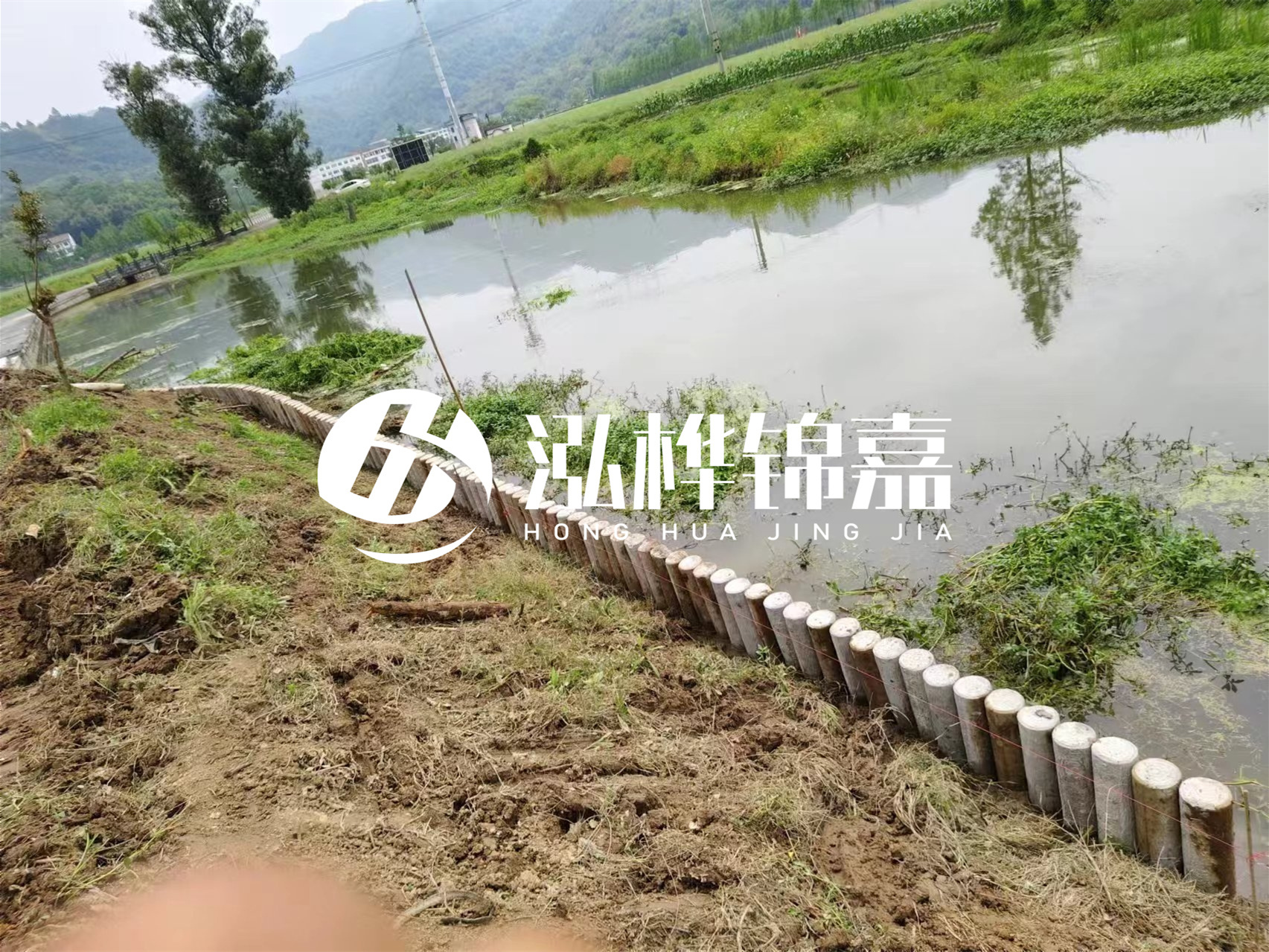 松木樁加固河道與水泥樁對(duì)比如何？哪一種更加適合您？