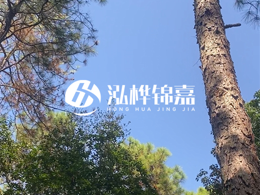 松木樁廠家的供貨能力強(qiáng)不強(qiáng)-怎么才能聯(lián)系到松木樁廠家？