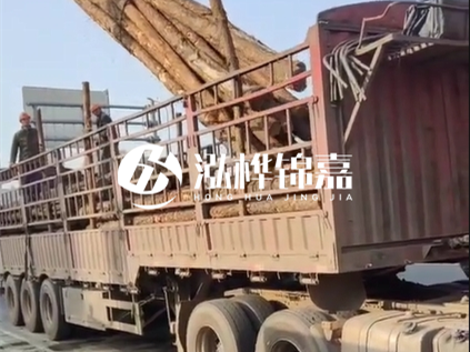 4米長(zhǎng)杉木10公分價(jià)格-4.5米直徑15cm 杉木多少錢？
