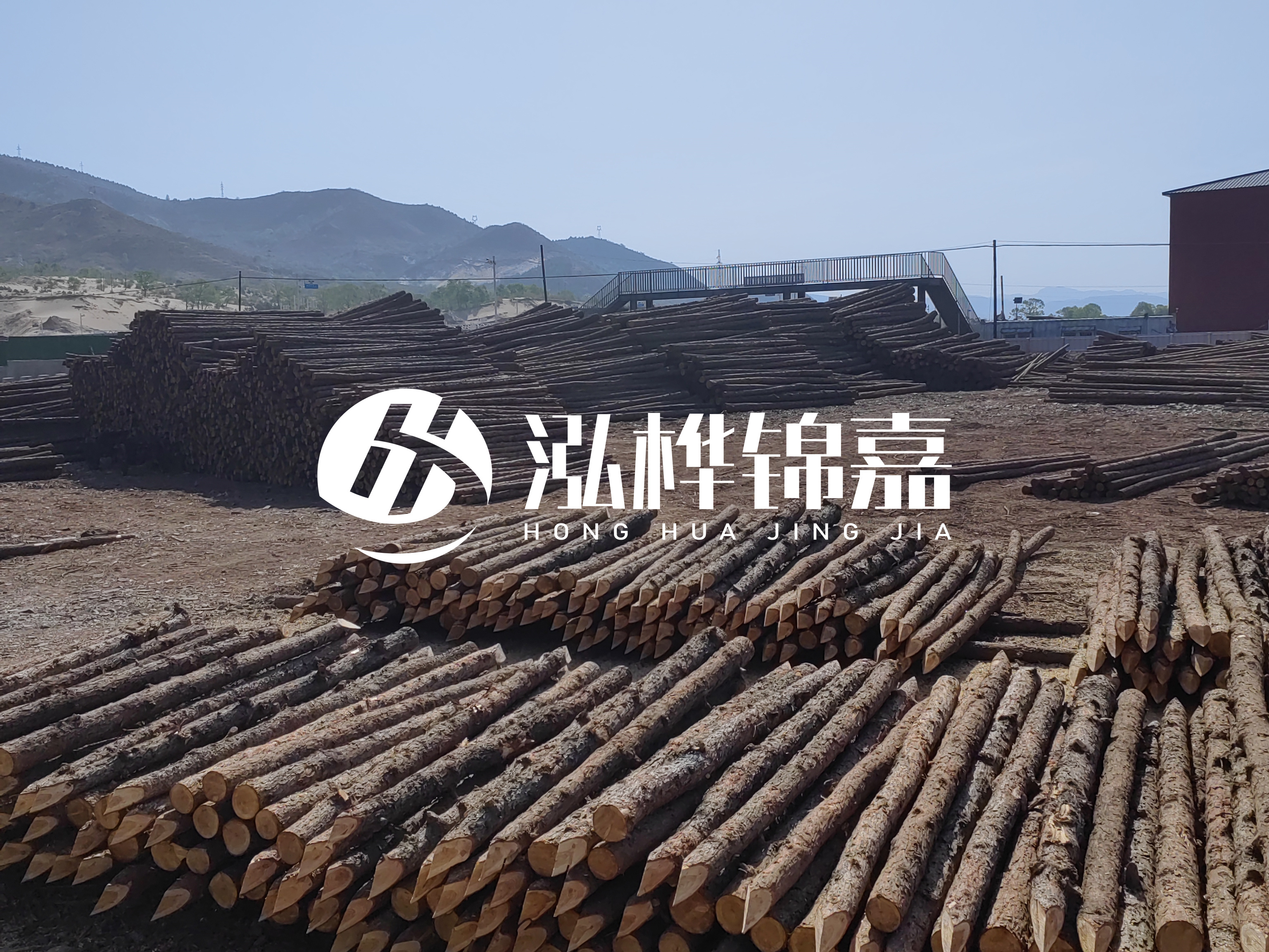 江蘇打樁木源頭廠家泓樺錦嘉-4米打樁木大頭14-16小頭一般多少？