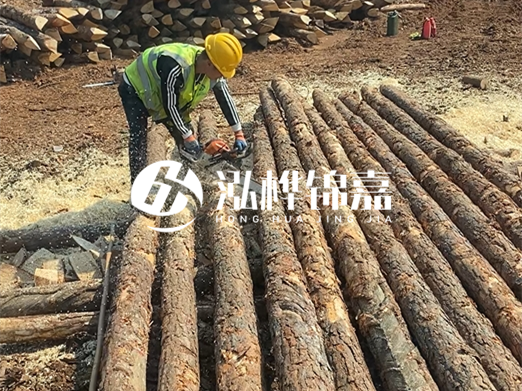 松木樁批發(fā)廠家泓樺錦嘉-河道打樁木施工中怎么防止樁頭被打壞？