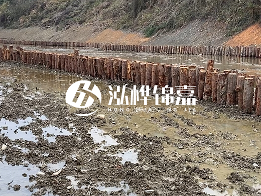 松木樁施工隊(duì)泓樺錦嘉 - 河道打松木樁施工流程？