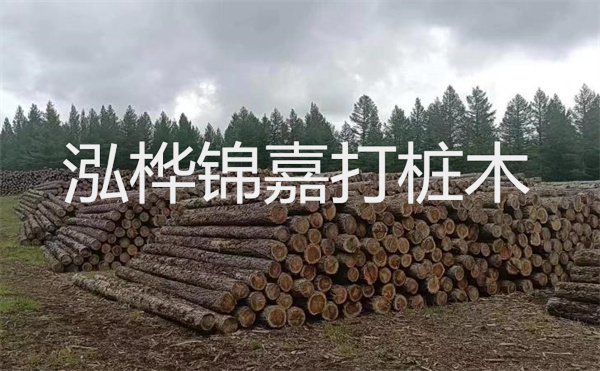 選擇紅磚護(hù)坡，打造獨(dú)特的美麗景觀