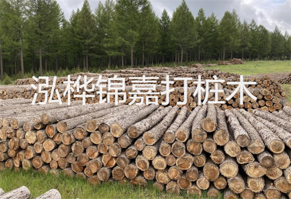 松木樁能施工嗎？探究視頻揭秘真相！