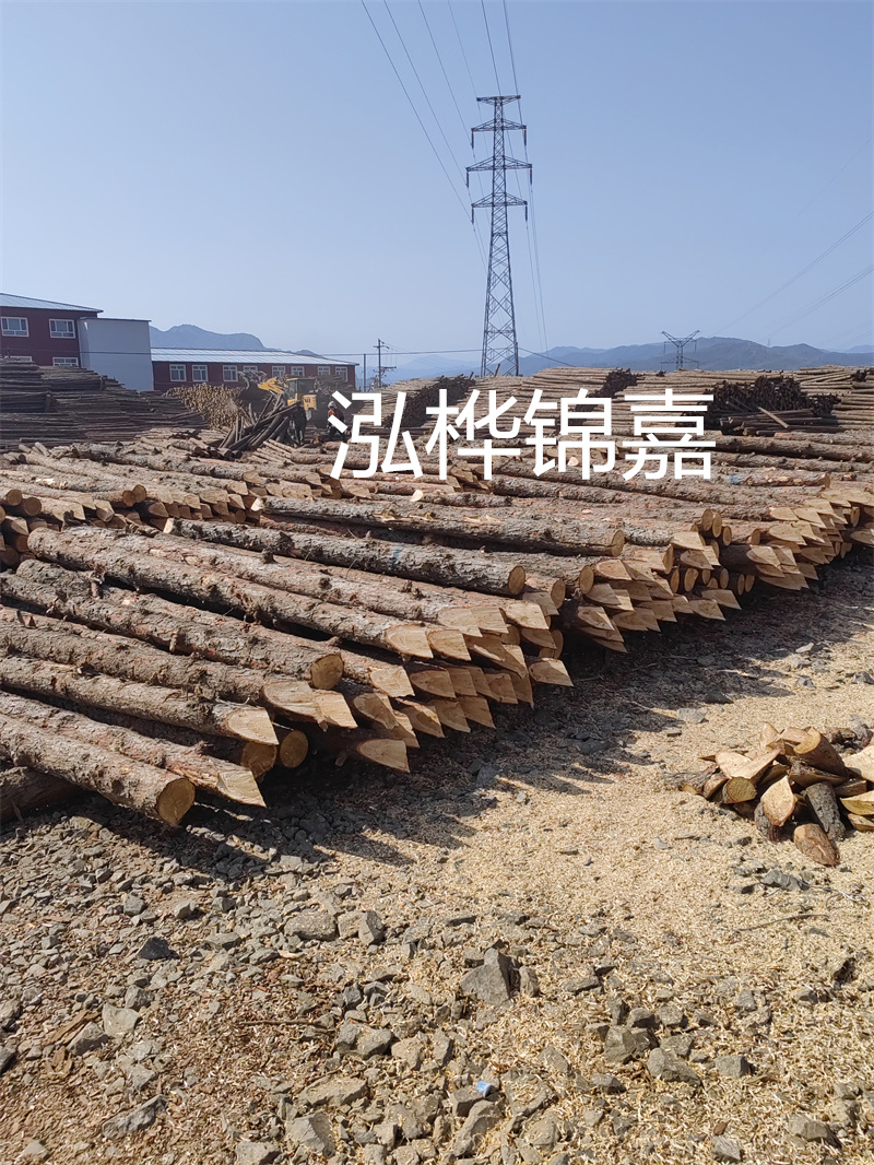 深入了解松木樁基礎(chǔ)施工單價(jià)，助力工程建設(shè)順利進(jìn)行！