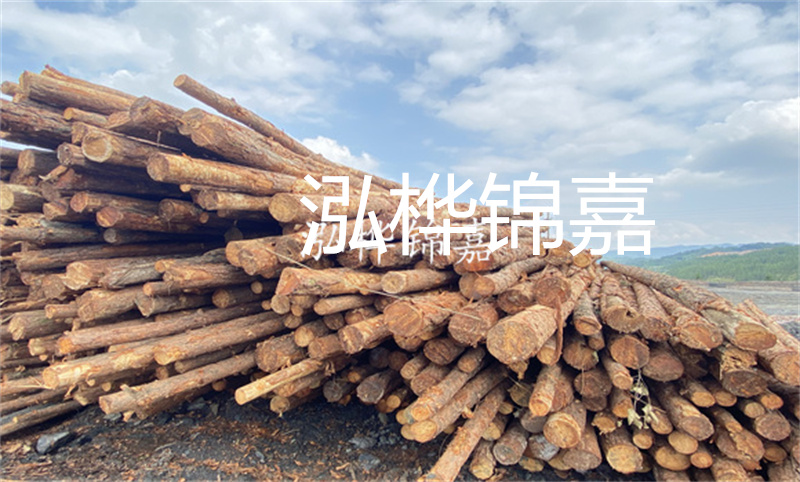 濮陽(yáng)松木樁，卓越品質(zhì)，安全可靠