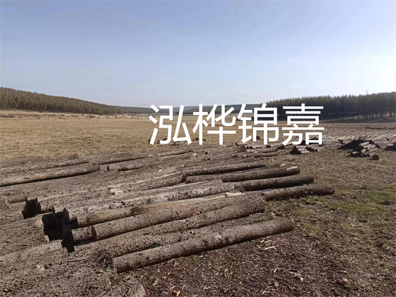 鄂州松木樁哪里好？推薦泓樺錦嘉松木樁業(yè)！
